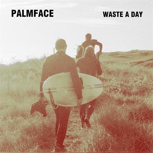 Palmface Waste a Day (LP) 